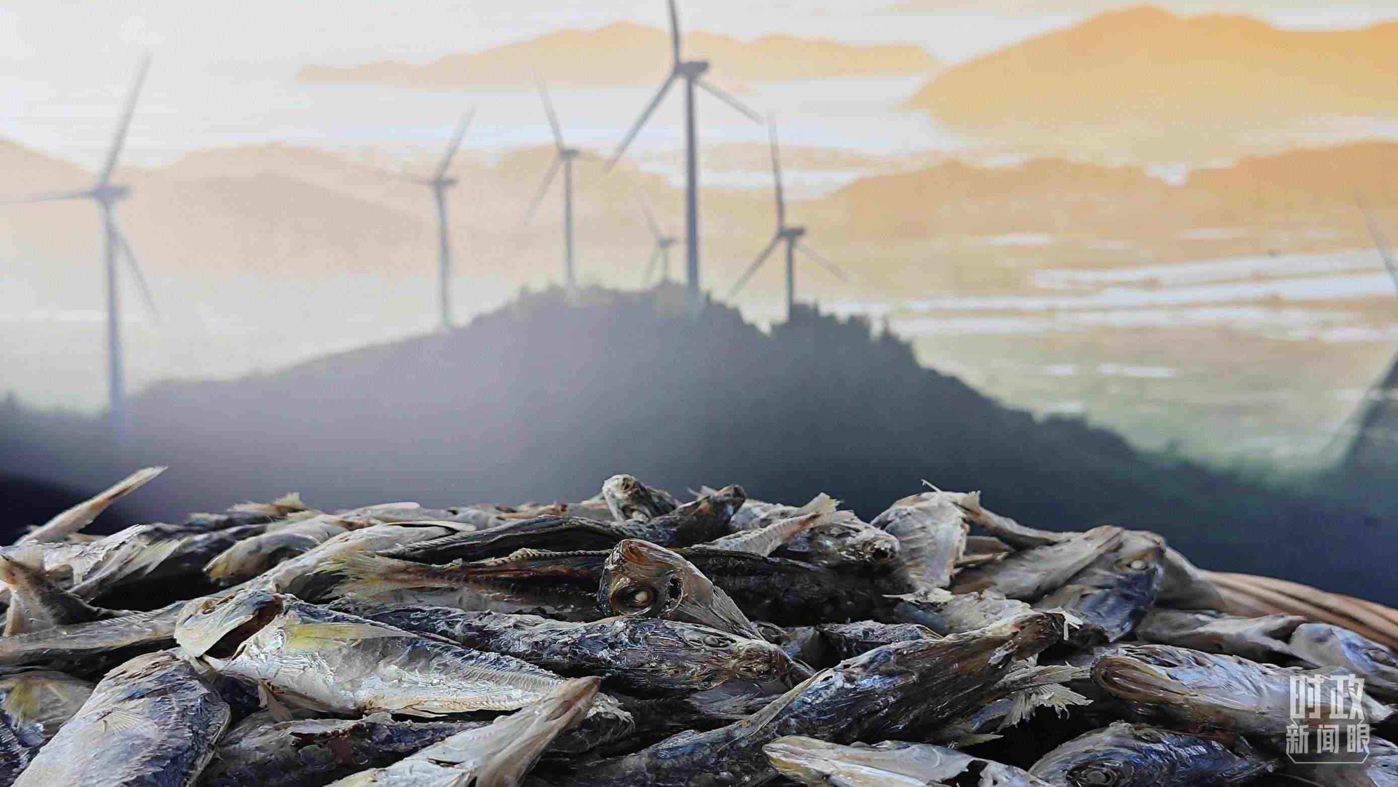 △澳角村的海產(chǎn)品。（總臺央視記者許永松拍攝）