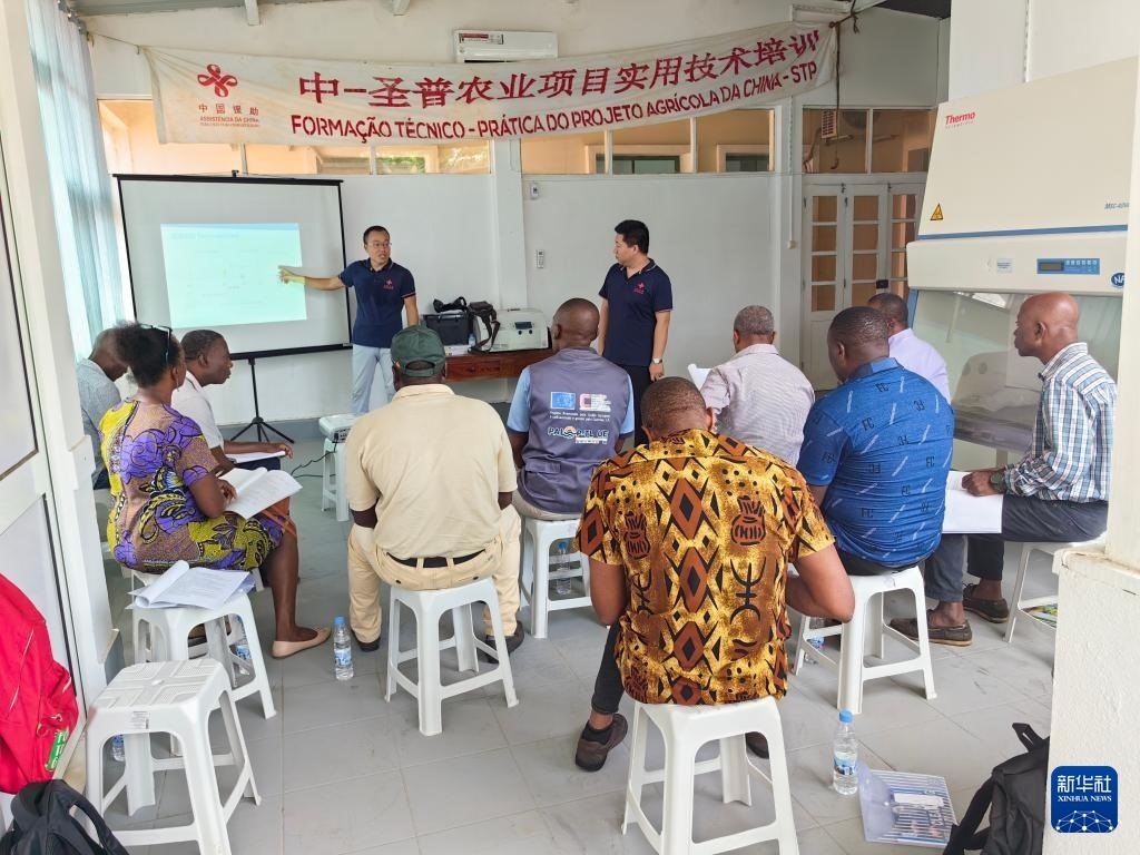 中國(guó)援圣普農(nóng)牧業(yè)技術(shù)項(xiàng)目組專家段振華（后左）在圣多美和普林西比的國(guó)家獸醫(yī)實(shí)驗(yàn)室開(kāi)展動(dòng)物疫病監(jiān)測(cè)技術(shù)培訓(xùn)（2024年6月21日攝）。新華社發(fā)（中國(guó)援圣普農(nóng)技組供圖）