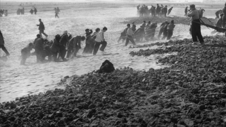 蘭考群眾在拉淤土壓沙。（新華社記者 鄧歷耕 攝）