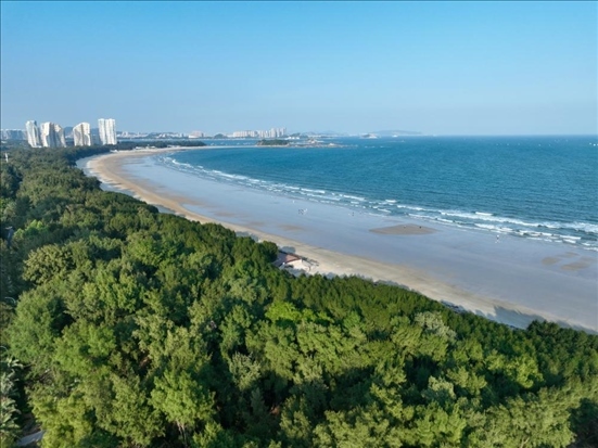 郁郁蔥蔥的東山縣沿海防護(hù)林（無人機(jī)拍攝）。新華社記者 姜克紅 攝