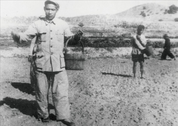 △ 谷文昌在福建省東山縣坑北村參加播種。