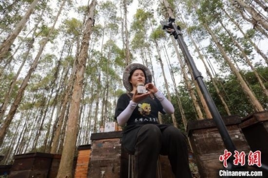 吳素英在網(wǎng)絡(luò)平臺直播介紹蜜蜂和養(yǎng)蜂情況。湯曉逵 攝