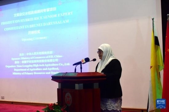 10月26日，文萊初級資源與旅游部常任秘書圖蒂亞蒂在斯里巴加灣市出席中國與文萊雜交水稻高級專家顧問項目啟動儀式。新華社記者 李萌 攝