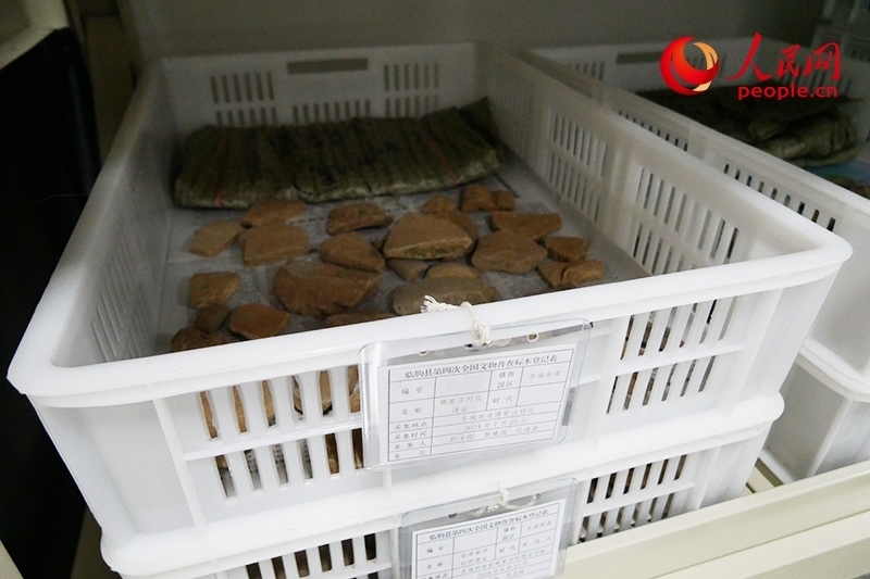 已經(jīng)整理完畢的文物標本。人民網(wǎng)記者 韋衍行攝