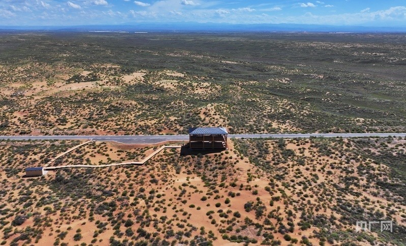 古浪縣一代代人治沙不息，讓綠色向沙漠深處不斷延伸（央廣網(wǎng)記者 李紅軍 攝）