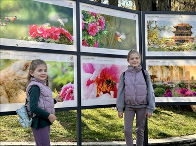 活動(dòng)現(xiàn)場(chǎng)。中國(guó)駐保加利亞大使館供圖。