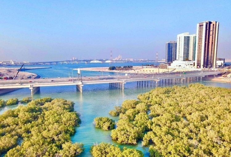 圖為瑞姆橋施工現(xiàn)場(chǎng)。中國土木供圖