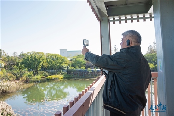 參觀白鷺園。環(huán)球網(wǎng)供圖