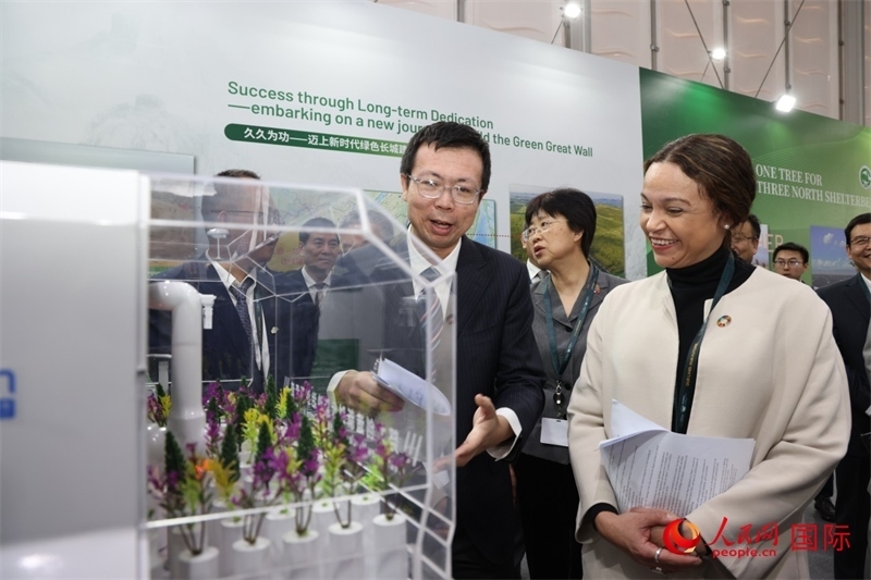 嘉賓參觀中國(guó)館。人民網(wǎng)記者任皓宇攝