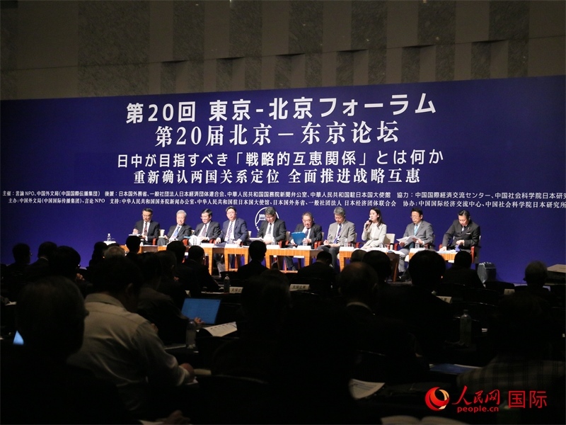 雙邊政治與外交分論壇現場。人民網 許可攝