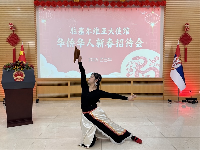 招待會(huì)現(xiàn)場(chǎng)表演。諾維薩德孔子學(xué)院供圖