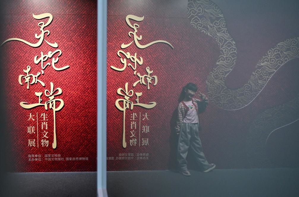 1月18日，一名小朋友在國家自然博物館舉辦的“靈蛇獻(xiàn)瑞——2025乙巳蛇年生肖文物大聯(lián)展”展覽中拍照留念。（新華社記者 陳鐘昊 攝）