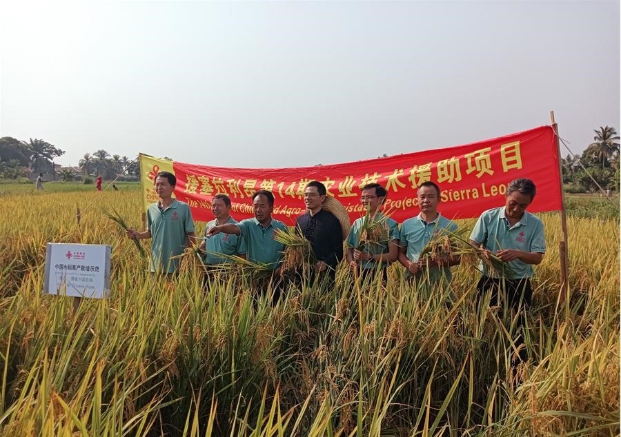 中國駐塞拉利昂大使王擎和援塞農(nóng)業(yè)專家組合影。中國援塞農(nóng)業(yè)專家組供圖