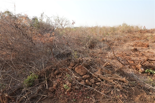 施工現(xiàn)場。張曉昆攝