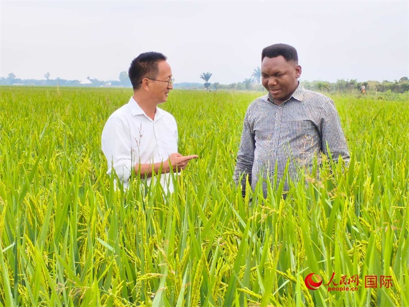 專家組組長(zhǎng)楊華德在與農(nóng)民學(xué)員交流。人民網(wǎng)記者黃培昭攝