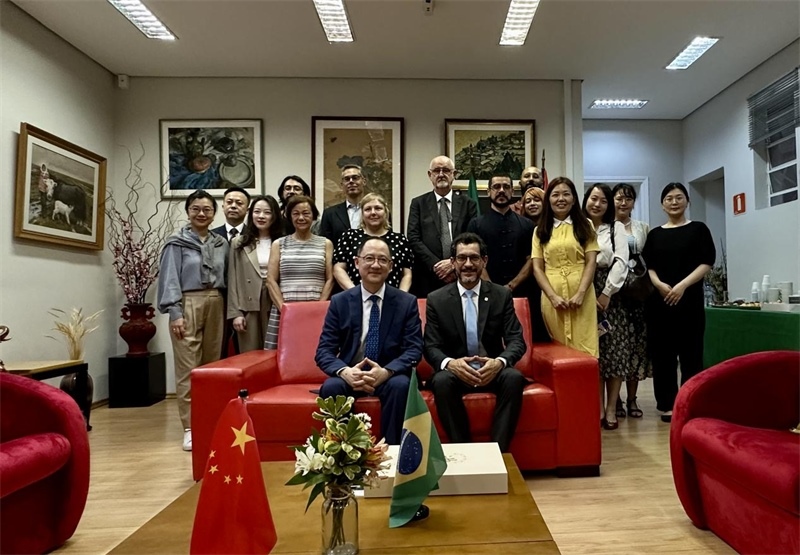 圖為參加座談會的來賓合影留念。 圣保羅州立大學(xué)孔子學(xué)院供圖