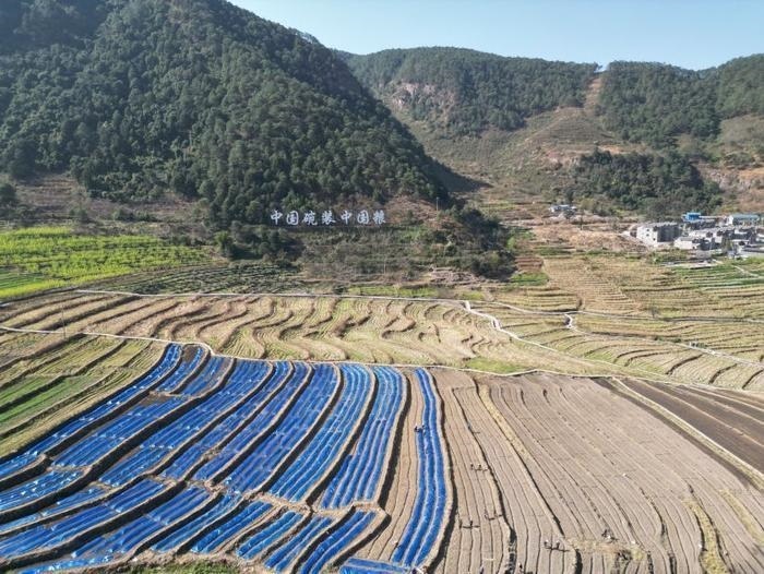 △近日，四川涼山一現(xiàn)代農(nóng)業(yè)園春耕育秧搶農(nóng)時(shí)。