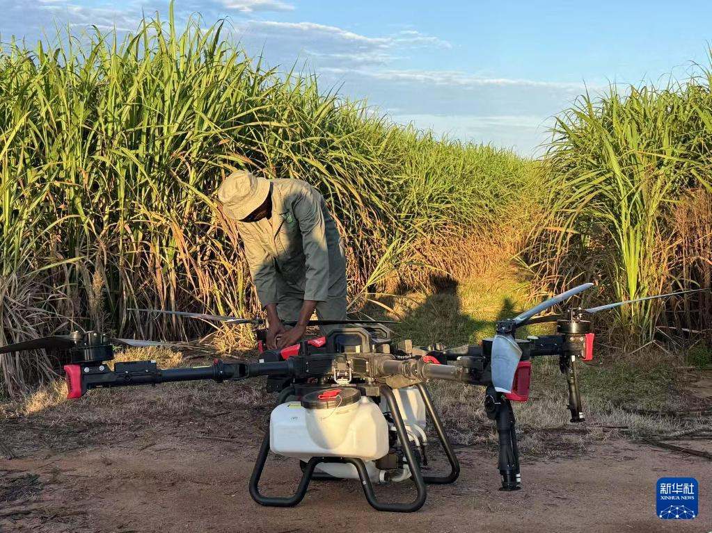 3月25日，在南非夸祖魯-納塔爾省的方廷希爾莊園，工作人員為無人機(jī)做起飛作業(yè)前的準(zhǔn)備。新華社記者 白舸 攝