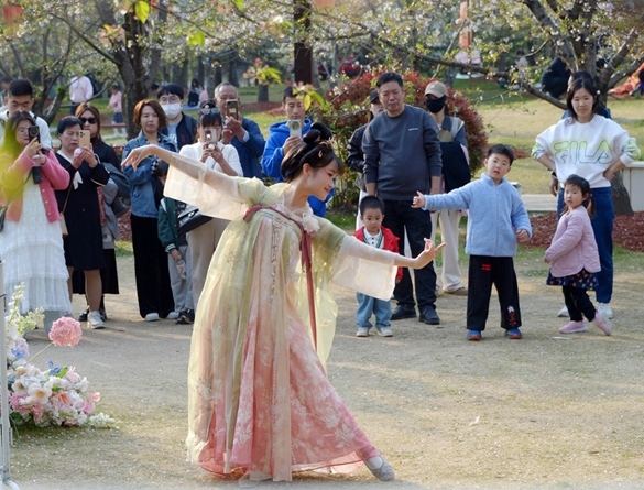 清明假期期間，上海顧村公園櫻花島上，游客在觀賞國風漢服快閃表演。（圖片來源：視覺中國）