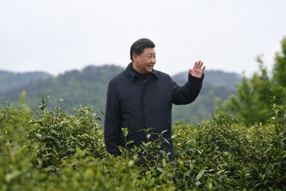 2020年4月21日，習近平總書記來到陜西安康市平利縣老縣鎮(zhèn)，在茶園考察脫貧攻堅情況。新華社記者 燕雁 攝
