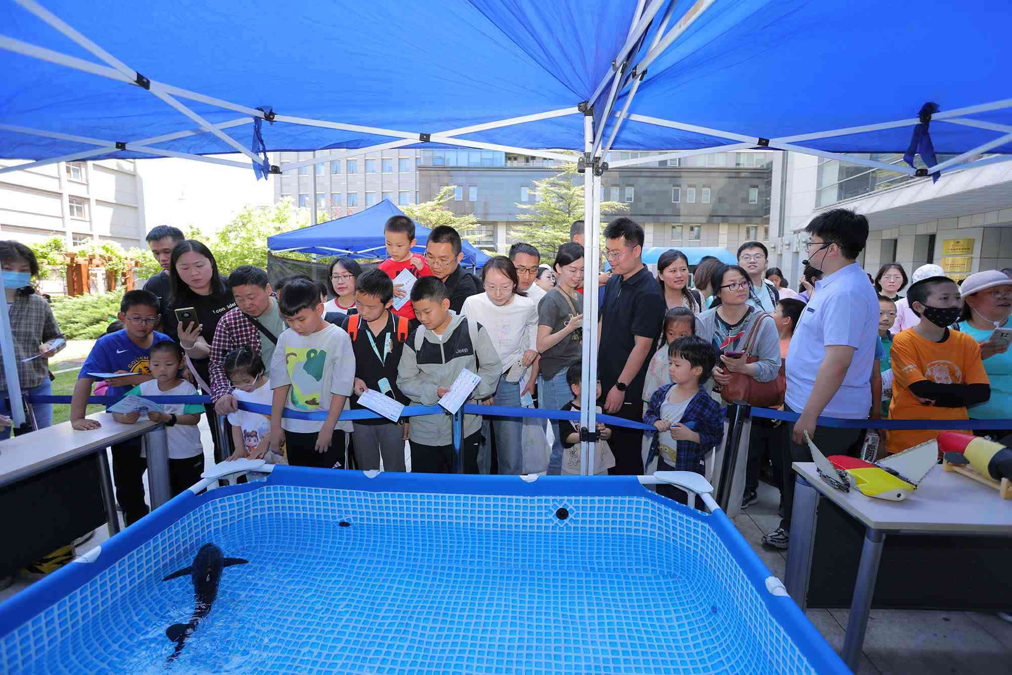 水下仿生機器魚在活動現(xiàn)場大受歡迎。中國科學院自動化研究所供圖